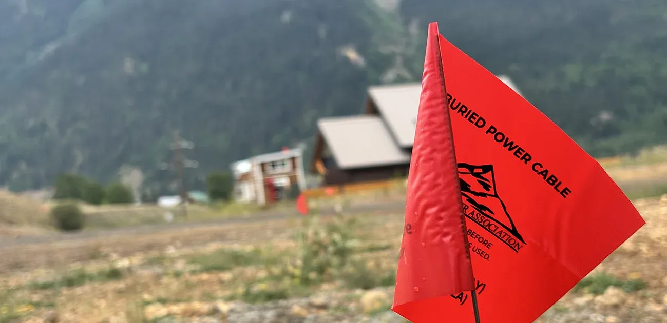 A flag marking a buried electric utility line.
