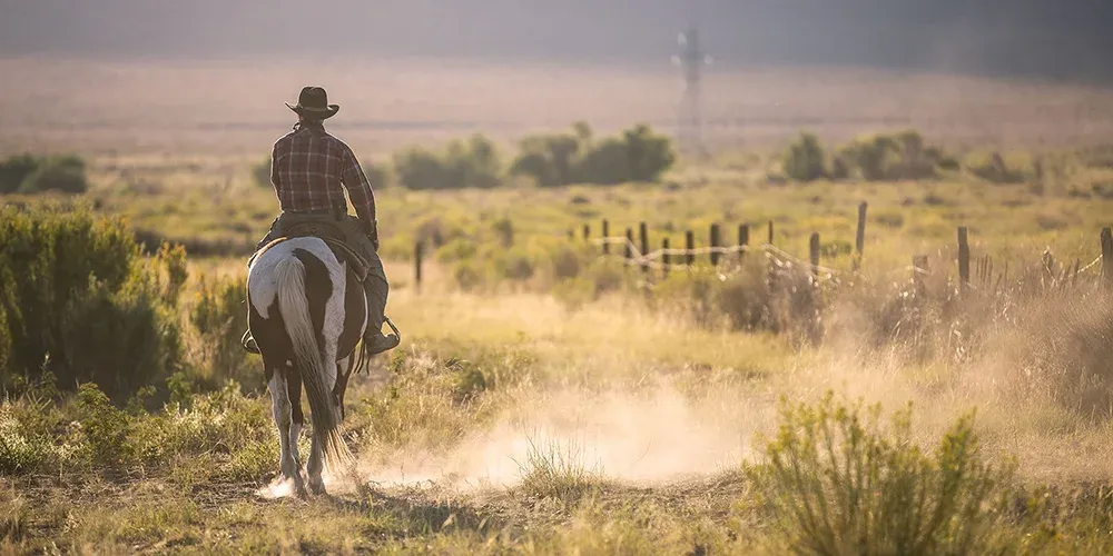 Cowboy riding a horse over the mountains