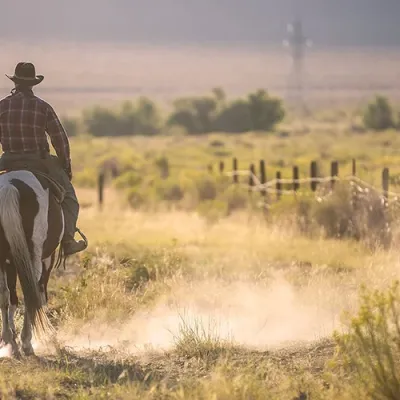 Cowboy riding a horse over the mountains