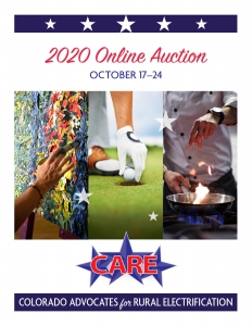 2020 CARE Live Auction
