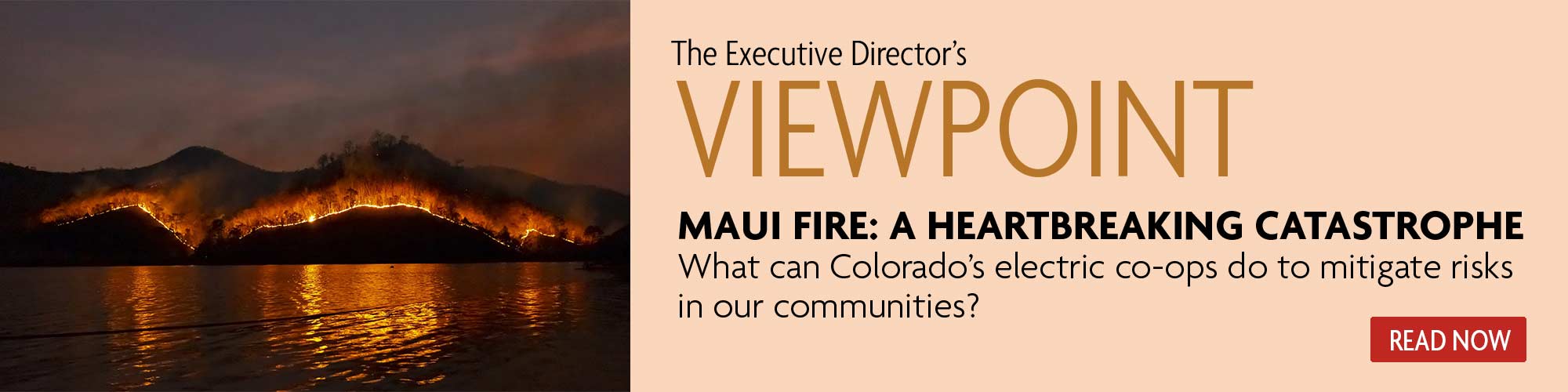 Viewpoint - Mitigating wildfires